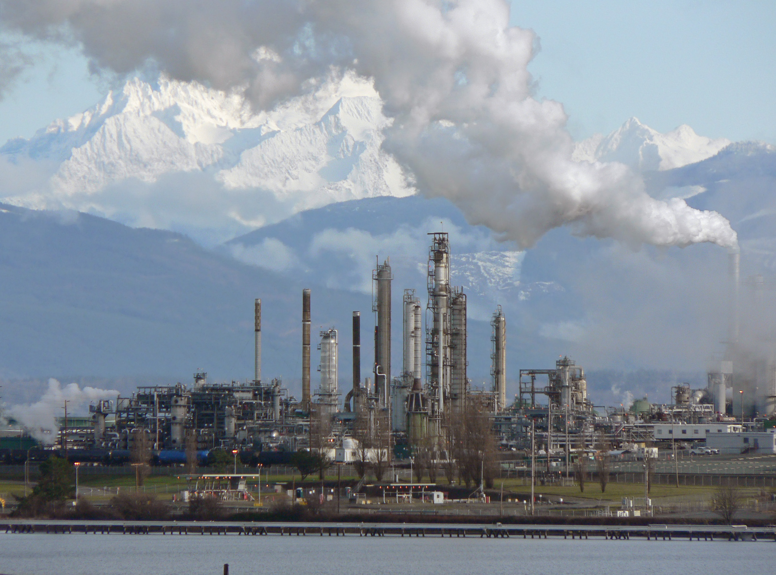 The Future of the Petrodollar