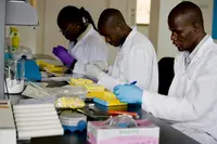 African Science Diplomacy: From Fragmentation to Integration