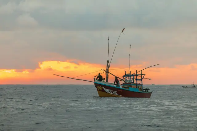Fish Wars: Climate and Fisheries Conflict in the South China Sea