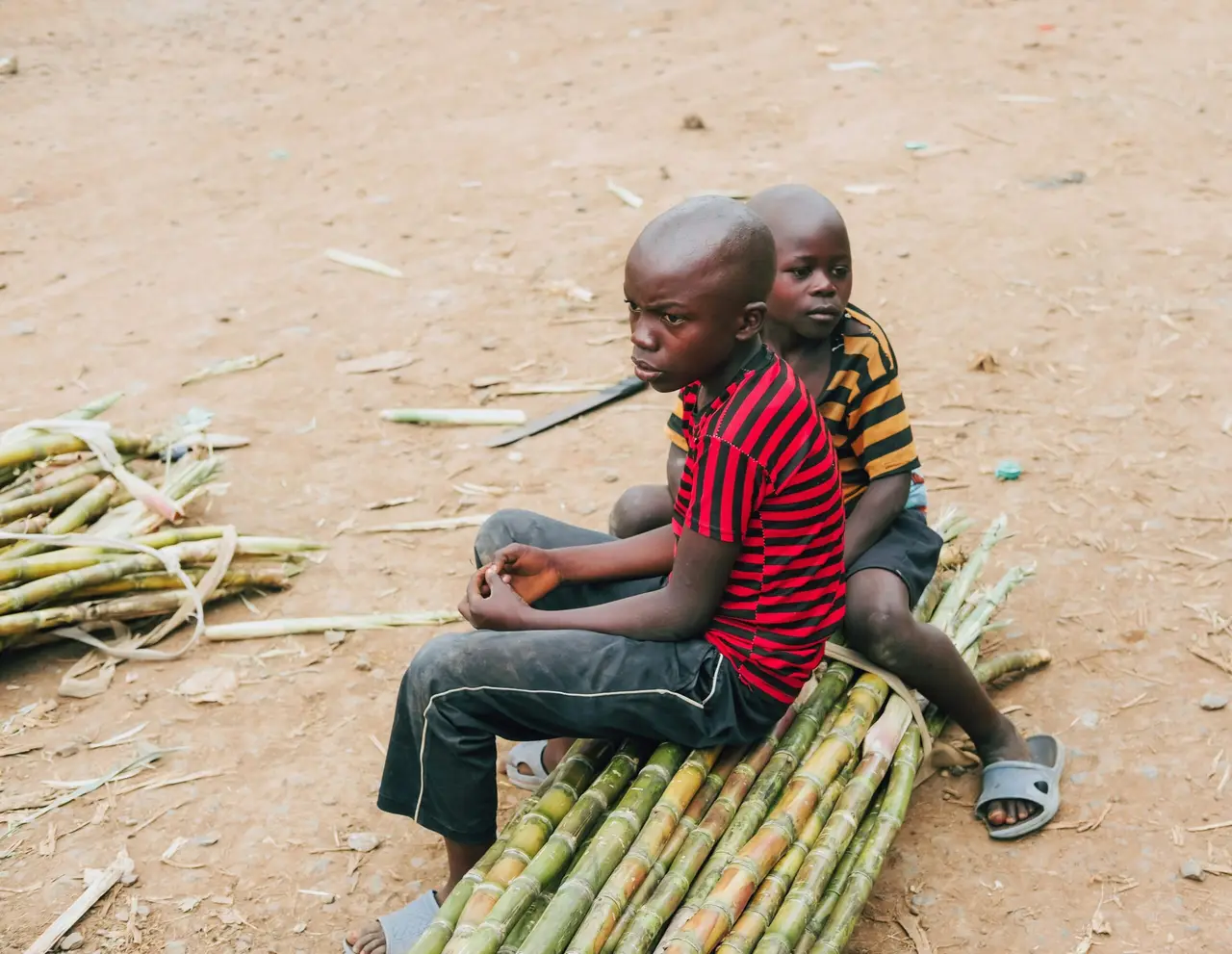 Children sitting on sugarcane stick