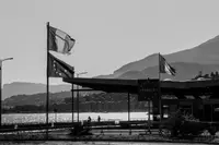 Can the Pact on Migration and Asylum deliver a coherent asylum regime?