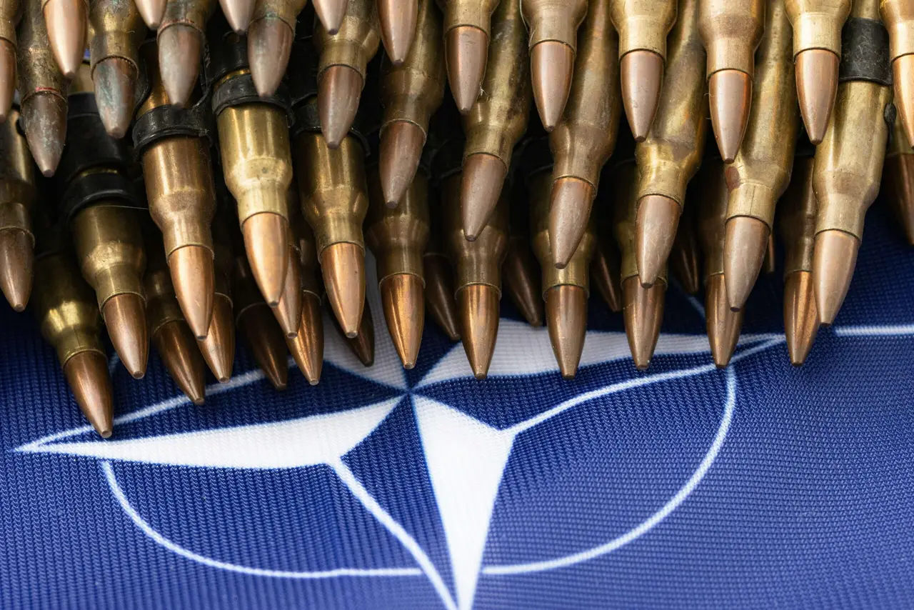 A bunch of bullet like objects on a NATO flag