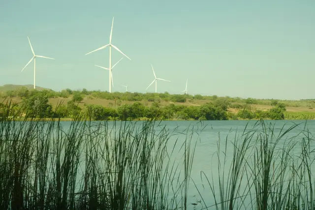 Who Bears the Risk? The Limits of Climate Insurance