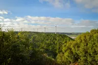 Navigating the Green Transition as a Multifaceted Arena