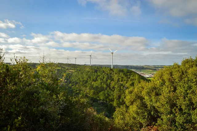 Navigating the Green Transition as a Multifaceted Arena