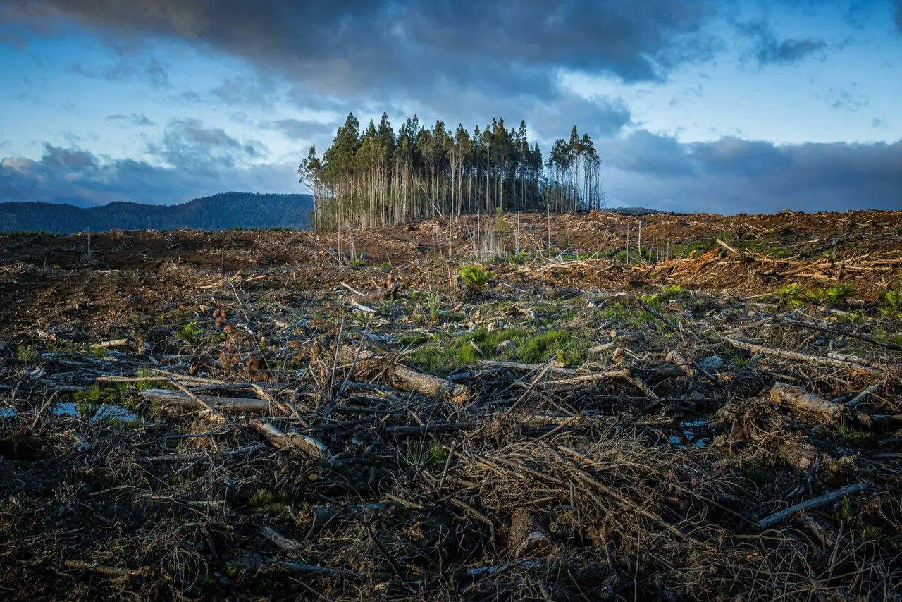 Ecosystem Damage