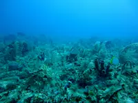 Deep Seabed Mining: Sponsorship and Investor Protection